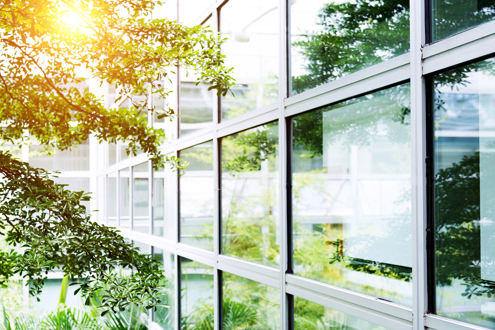 Windows on a commercial building in an office park